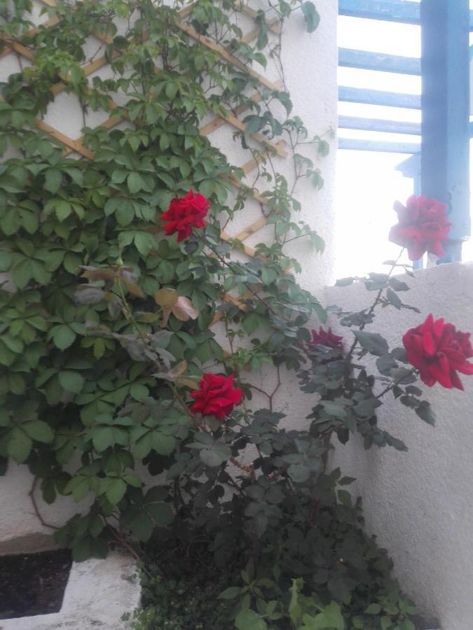 Rania Studios Poros Town Luaran gambar